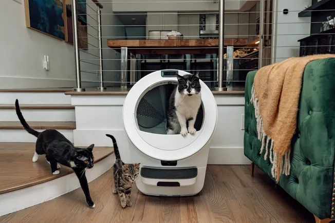 Litter-Robot首任首席营销官:以营销驱动养猫人群增长